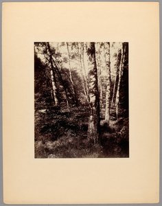  av Eugène Atget