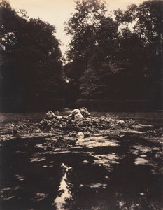Versailles, Enceladus-fontenen, 1922-1923. av Eugène Atget