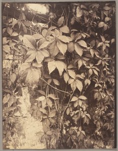  av Eugène Atget