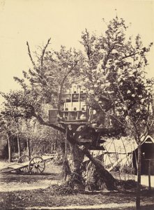 Duehus i treet av Eugène Colliau
