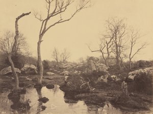 Vakkert kors, ca. 1858.