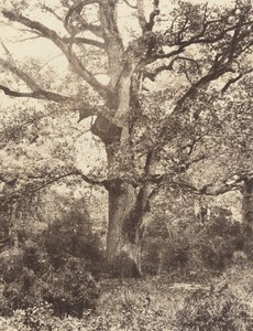Nær Bodmer, 1860-tallet.
