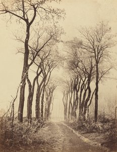 Vei og trær med rimfrost, 1860.