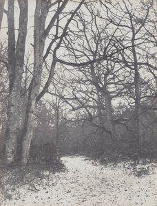Vei i skogen, 1860-1863.