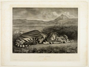 Bengal tiger av Eugène Delacroix