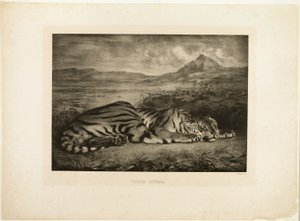 Bengal tiger av Eugène Delacroix
