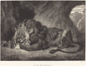 Løve av Atlasfjellene (Lion de l
