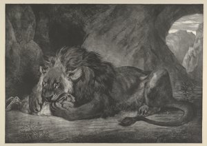 Løve av Atlasfjellene, 1829-30., 1829-30. av Eugène Delacroix