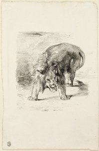 Stående løve av Eugène Delacroix