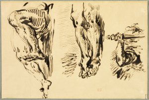 Studie av armer og ben til Kristus korsfestet av Eugène Delacroix
