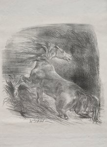 Villhesten, eller skremt hest som forlater vannet av Eugène Delacroix