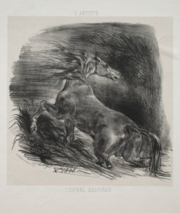 The Wild Horse, or Frightened Horse Leaving the Water   1308089   no       norwegian Successfully Translated  Original: The Santa Maria Approaching the Coast of the New World in 1492, from The Discovery of America, pub. Barcelona Translat: The Santa Maria  av Eugène Delacroix