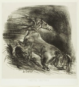 Villhest eller skremt hest som forlater vannet av Eugène Delacroix