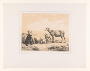 Geit, sau og to lam Ulike dyr (serietittel) Etudes d