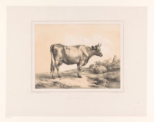 Ku og sau i et landskap Diverse dyr (serietittel) Études d'Animaux (serietittel)