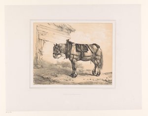 Hest med sal og grime Ulike dyr (serietittel) Etudes d