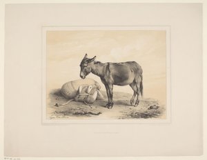 Rustende pakezel Diverse dieren (serietittel) Animal Studies (serietittel) av Eugène Verboeckhoven