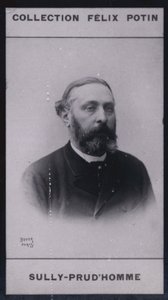 Armand Sully Prudhomme (1839) (s/hvitt-bilde) av European Photographer