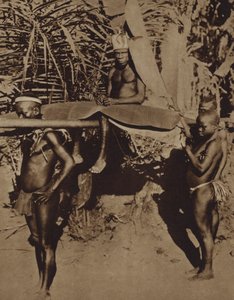 Sjef for en afrikansk pygmé-stamme som bæres på et kull (s/hvitt-bilde)