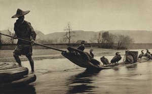 Kina, fiske etter skarv (s/hvitt bilde) av European Photographer