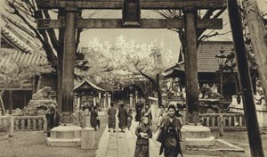 Japan, gate i Tokyo, tid for kirsebærblomstring (s/hvitt bilde) av European Photographer