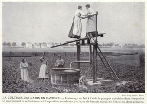 Reddikkulturen i Bayern (s/hvitt-bilde) av European Photographer