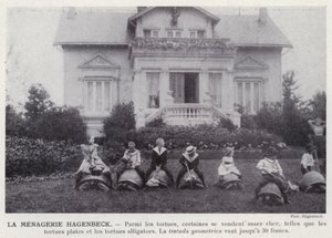 La Menagerie Hagenbeck (s/hvitt bilde) av European Photographer