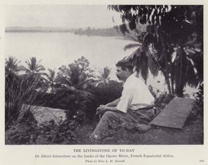 Dagens Livingstone (s/hvitt-bilde) av European Photographer