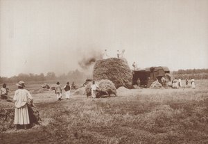 Tresking av hvete på Alfold, slettene i Ungarn (s/hvitt-bilde) av European Photographer