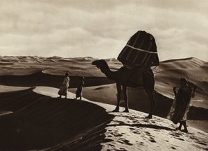  av European Photographer