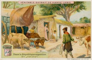 En Ranch av European School