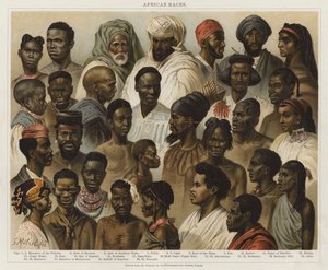 afrikanske raser av European School