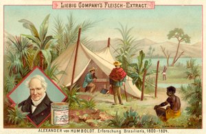 Alexander von Humboldts ekspedisjon til Sør-Amerika, 1800-1804 av European School