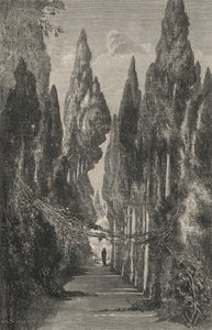 Allee du Generalife (gravering) av European School