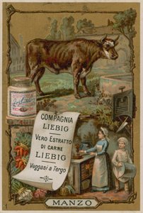 Storfekjøtt av European School