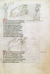 Bestiary: the Horse (blekk på vellum) av European School