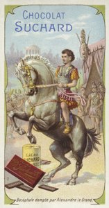 Bucephalus temmet av Alexander den store av European School