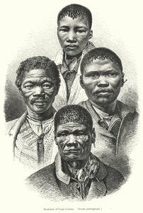 Bushmen of Cape Colony (gravering) av European School