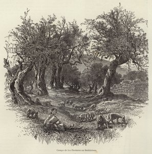 Shepherds Field i Betlehem