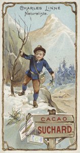Carl Linnaeus, svensk botaniker og zoolog, som barn av European School