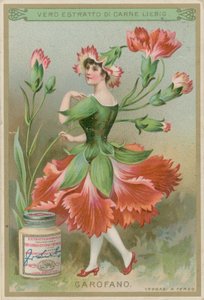 Nellik Blomsterjente av European School