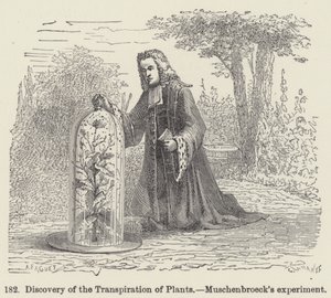 Discovery of the Transpiration of Plants, Muschenbroecks eksperiment (gravering) av European School