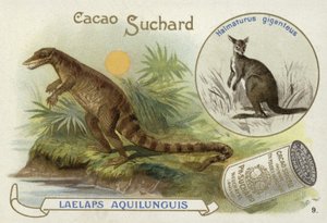 Dryptosaurus og kenguru av European School
