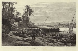 Egypt - Aswan havn av European School