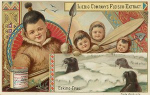 Eskimo av European School