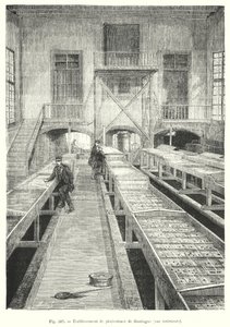 Huningue fiskefarm, innvendig utsikt. (gravering) av European School