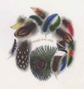 Fjær (farge litho) av European School