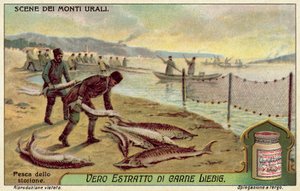 Fiske etter stør (chromolitho) av European School