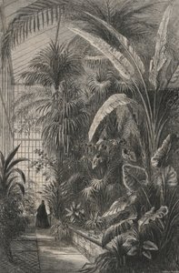 Great Greenhouse of the Museum of Paris (gravering) av European School