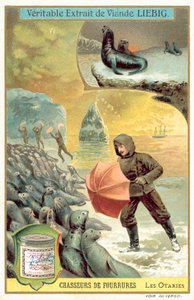 Jakt på sjøløver (chromolitho) av European School